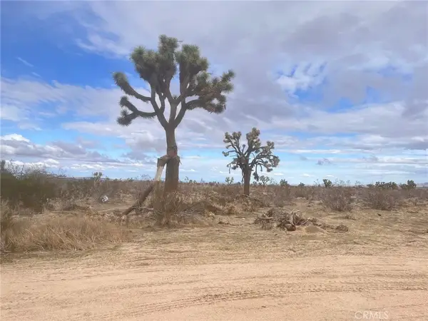 0 Dos Palmas Rd Road, Phelan, CA 92371