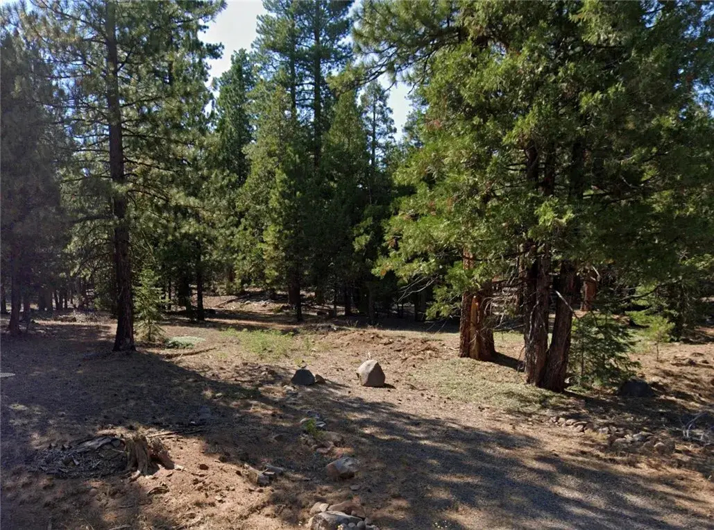 0 Bison Rd, Alturas, CA 96101 - #1