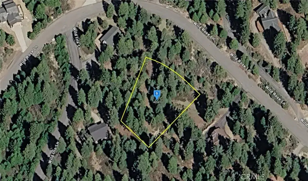 40541 Wild Rose, Shaver Lake, CA 93664 - #1