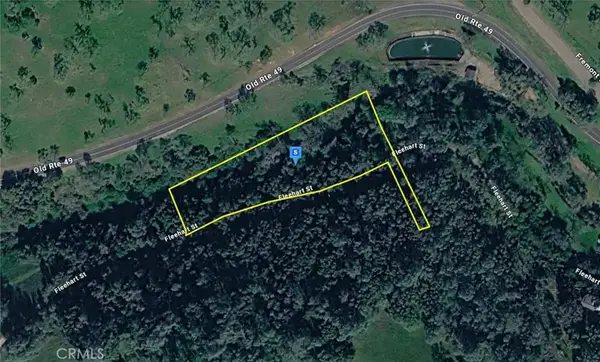 10605 Fleehart, Amador City, CA 95601