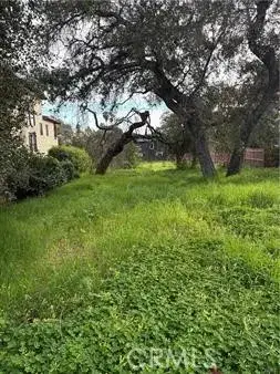 0 Mariposa, Sierra Madre, CA 91024 - #3