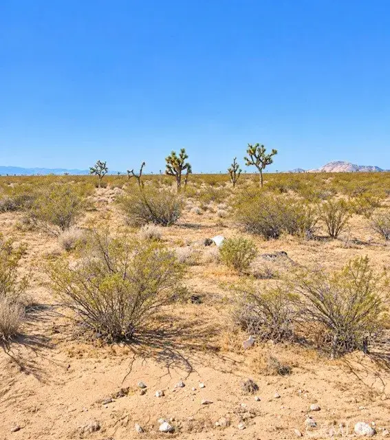 0 California City Blvd., California City, CA 93505 - #1