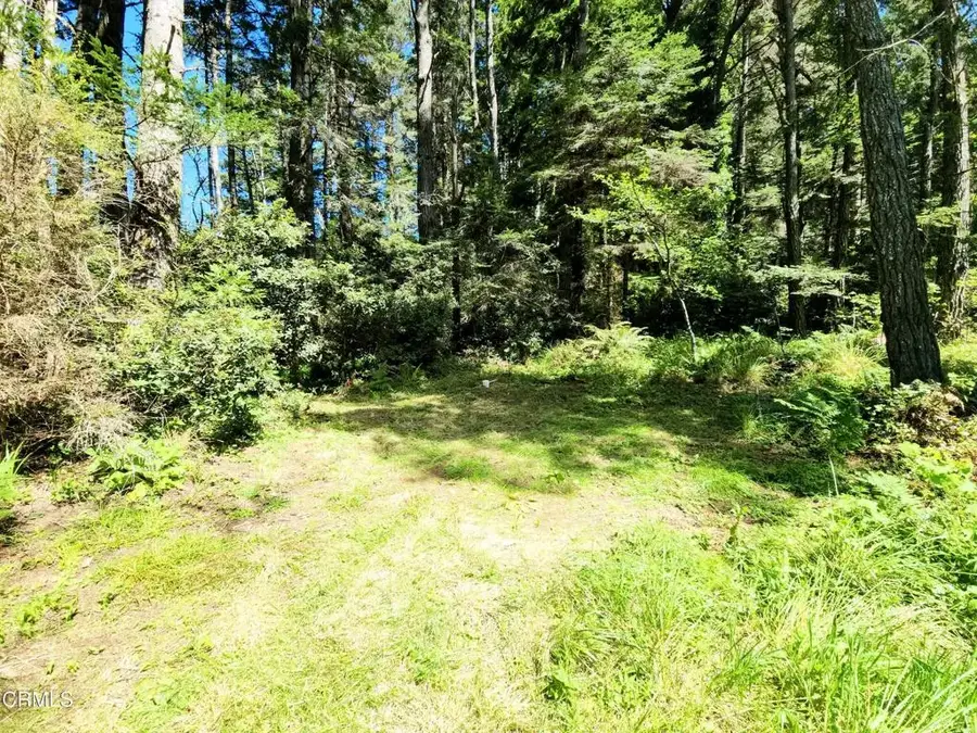 44551 Raven, Mendocino, CA 95460 - Image #3