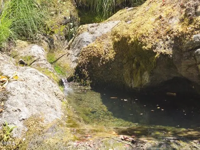 58901 Hwy 101, Leggett, CA 95585 - Image #2