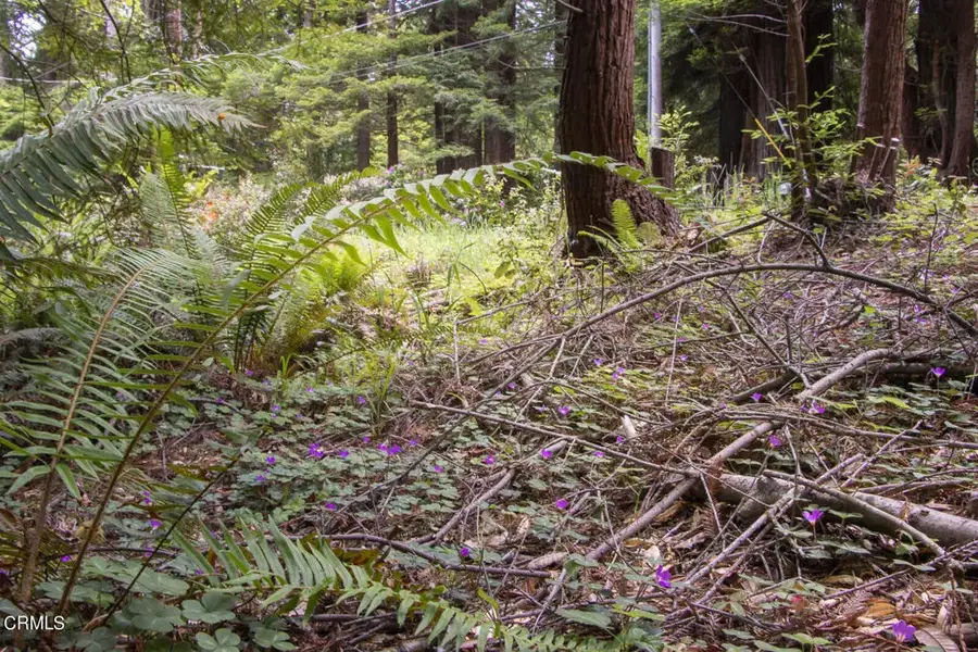 32100 Forest, Fort Bragg, CA 95437 - Image #2