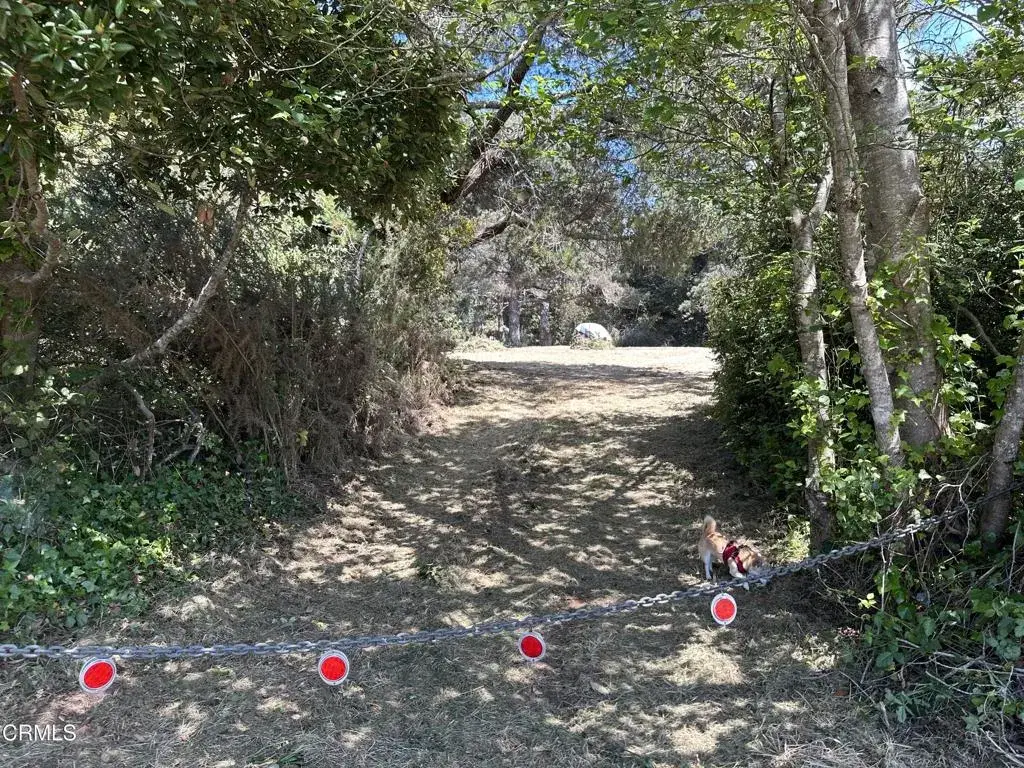 0 Pine, Fort Bragg, CA 95437 - #1