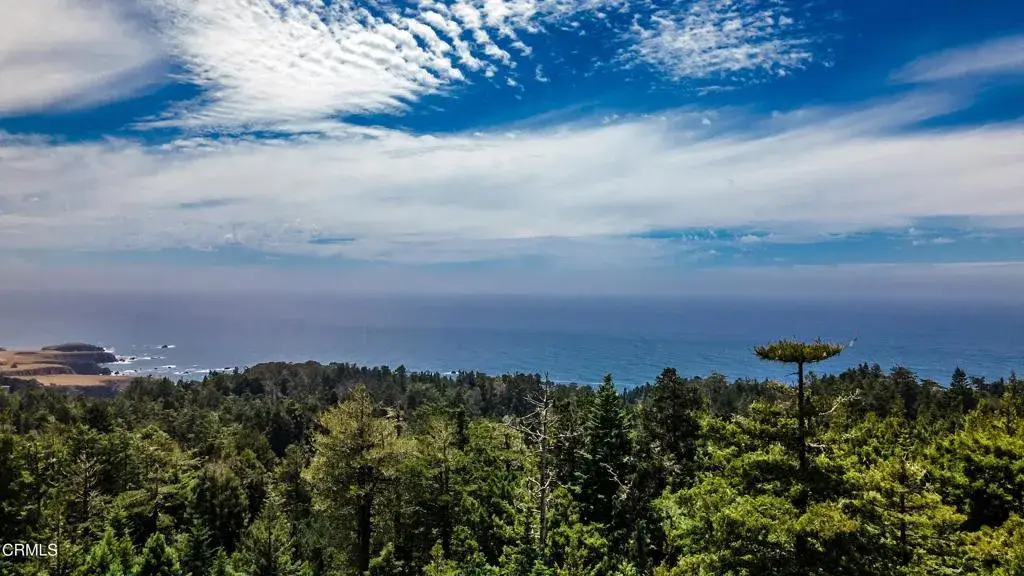 33651 Carson Hill Road, Little River, CA 95456 - #1