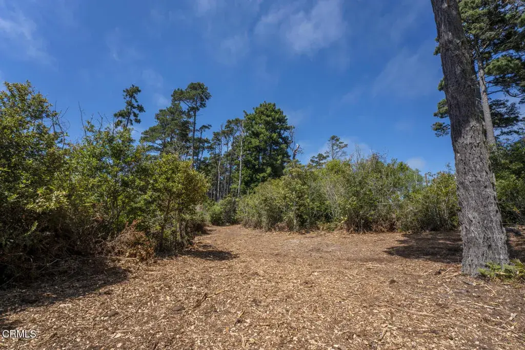 17898 Georges, Fort Bragg, CA 95437 - #1