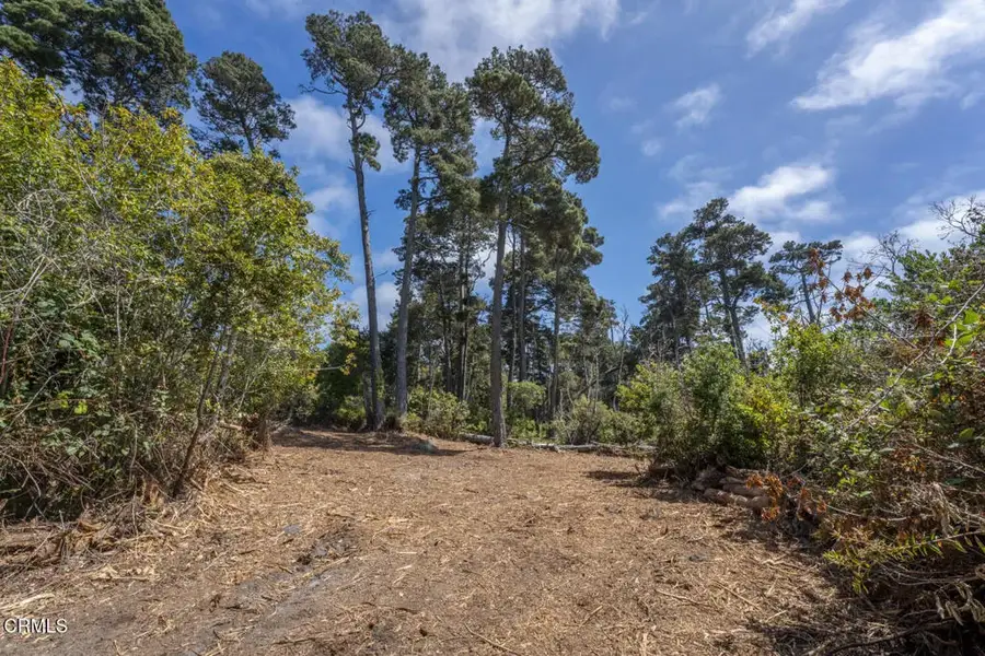 17898 Georges, Fort Bragg, CA 95437 - #2