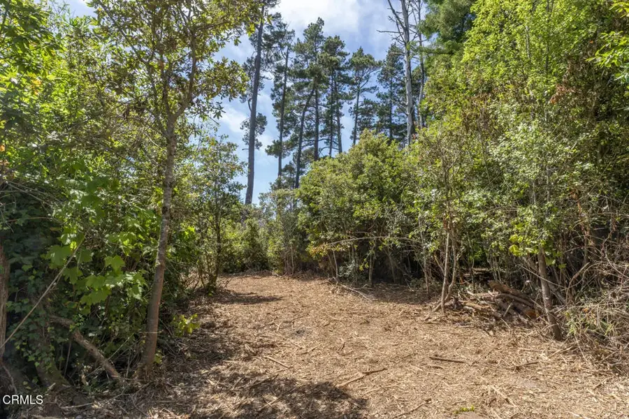 17898 Georges, Fort Bragg, CA 95437 - #3