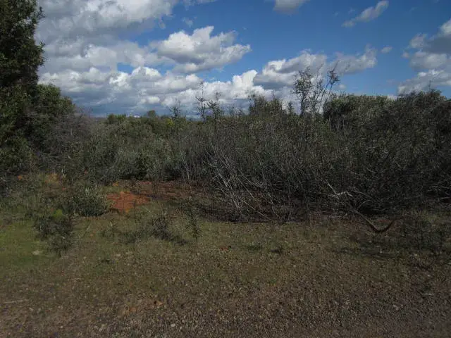 0 Sky, Chico, CA 95928 - Image #3