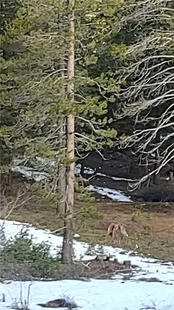 0 Lot 16, Block 26, Unit 2, Alturas, CA 96101 - #1