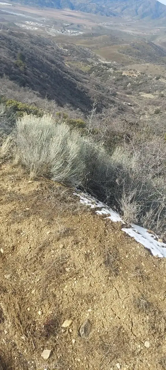 18020 Matterhorn, Tehachapi, CA 93561 - #3