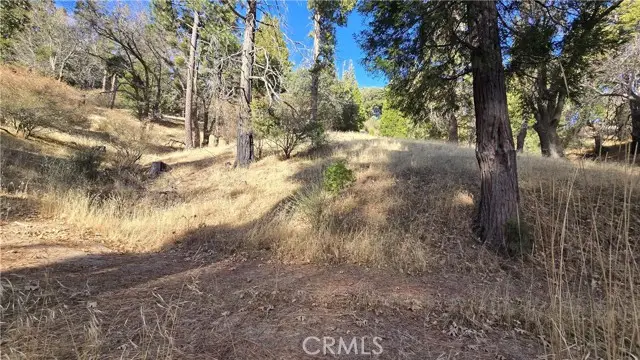 0 None, Cedarpines Park, CA 92322 - Image #3