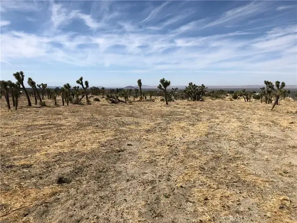 10823 Daisy Court, Pinon Hills, CA 92372