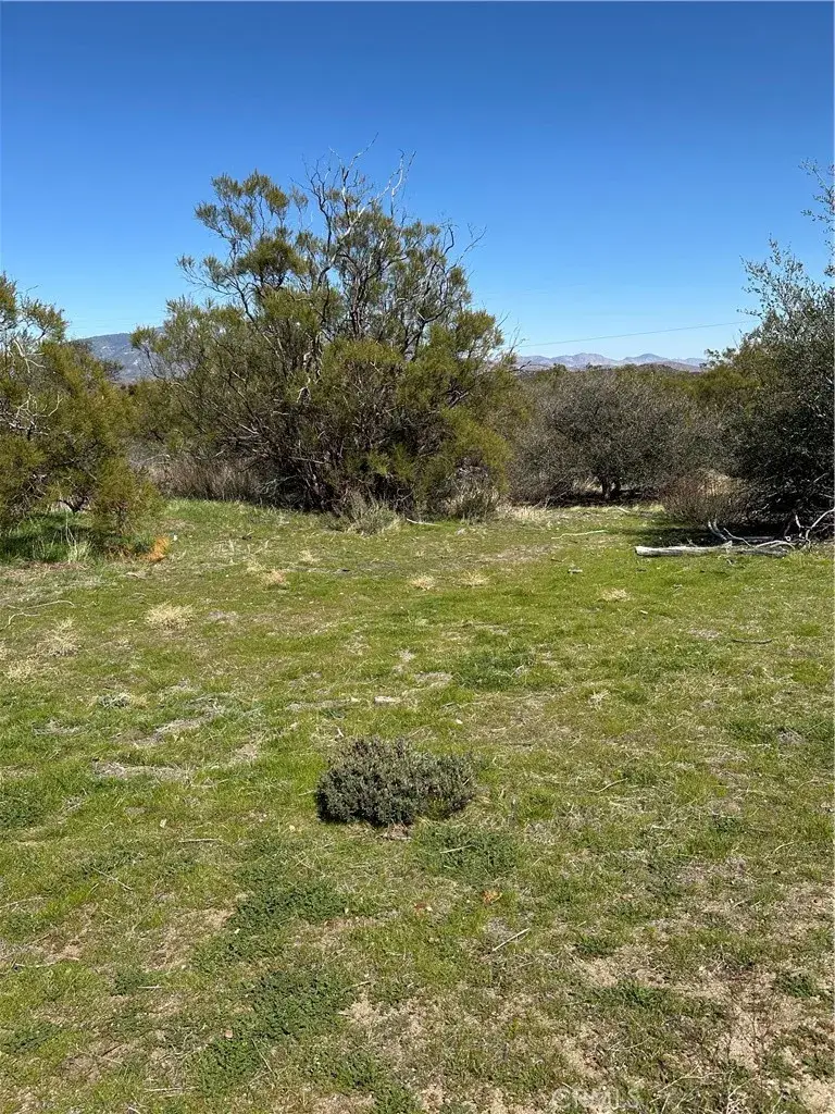 44805 Chapman, Anza, CA 92539 - Image #1