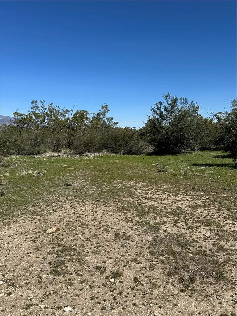 44805 Chapman, Anza, CA 92539 - Image #3