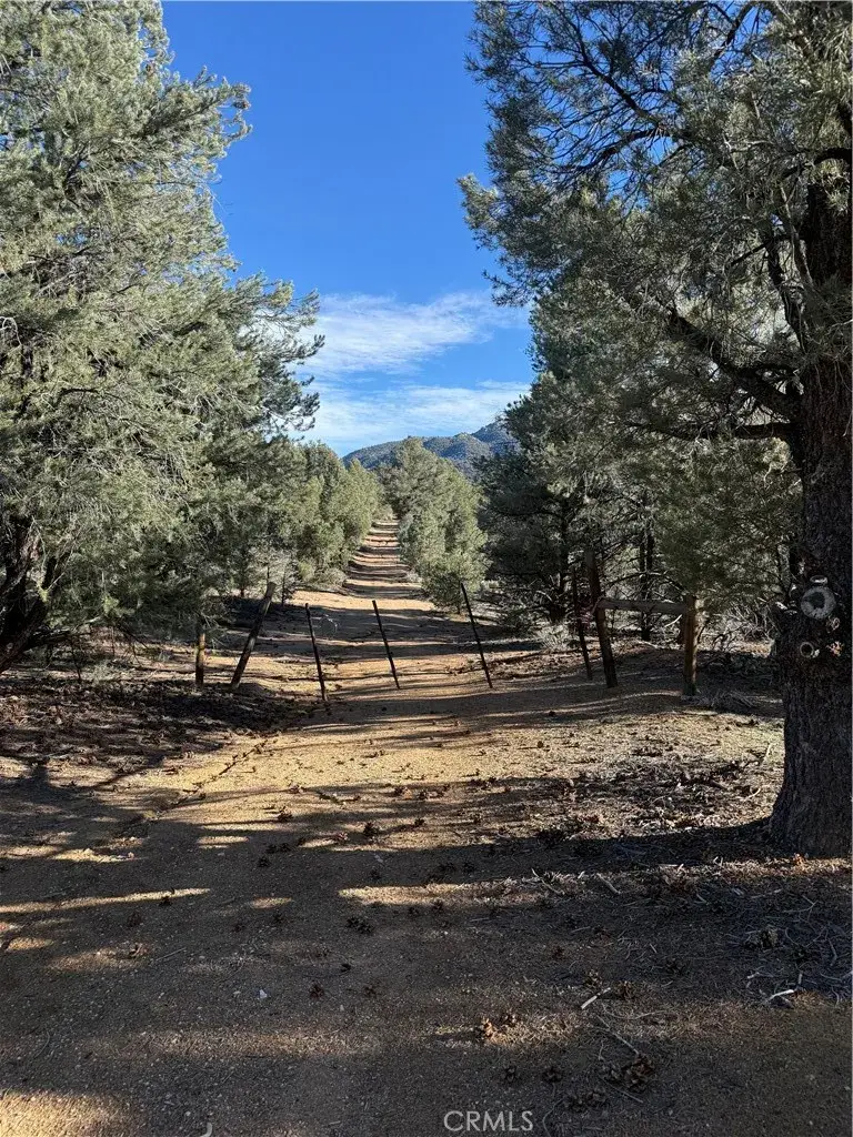 0 310-190-028 Sacatar Ranch, East Kern, CA 93527 - #2