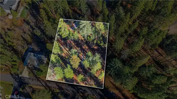 434 Bird Dog, Murphys, CA 95224