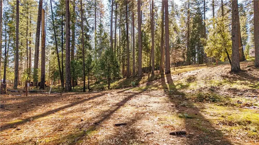 434 Bird Dog, Avery, CA 95224 - Image #2