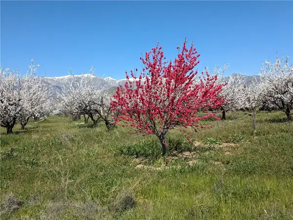 0 Pump House, Banning, CA 92220