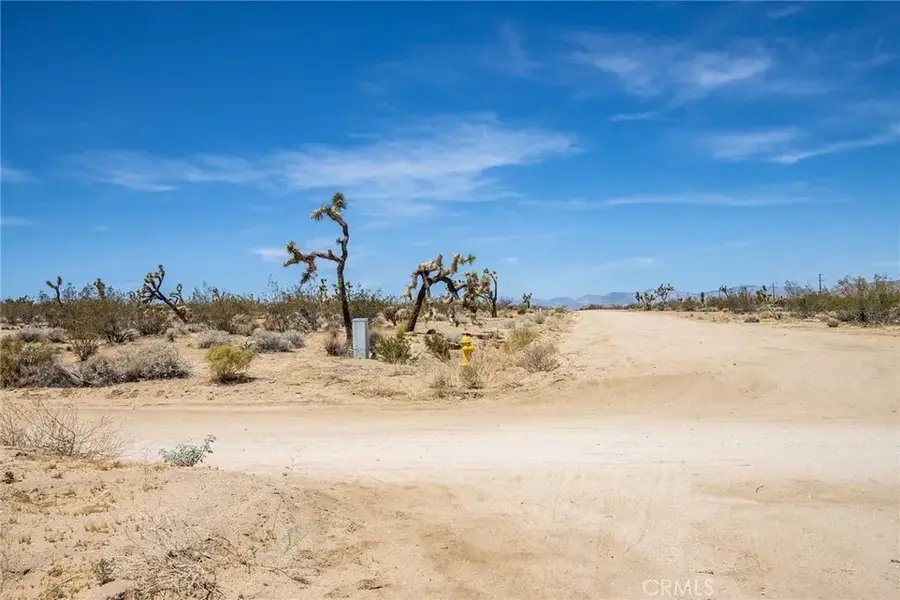 6563 Saddleback, Joshua Tree, CA 92252 - #3