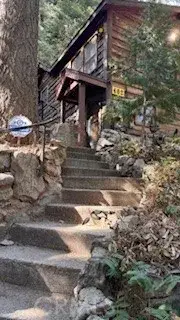 402 Burnt Mill Canyon Road, Cedarpines Park, CA 92322 - #2