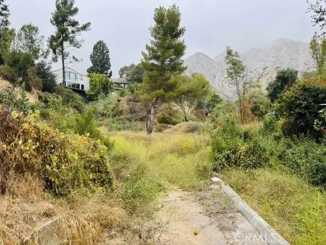 333 Wistaria, Sierra Madre, CA 91024 - #2