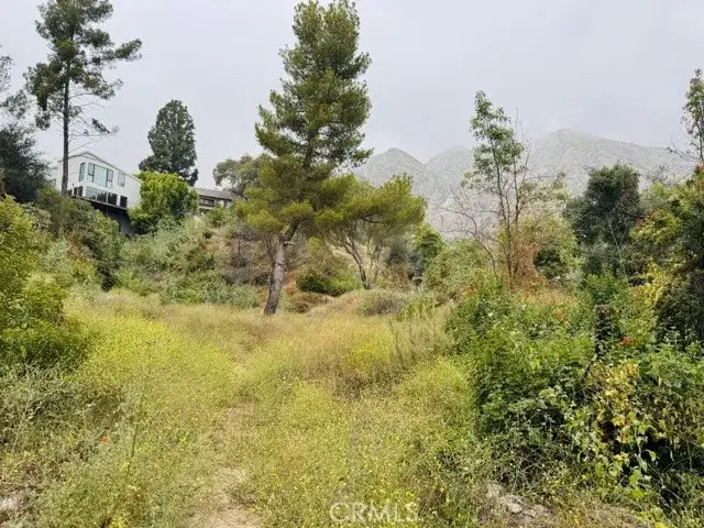 333 Wistaria, Sierra Madre, CA 91024 - #3