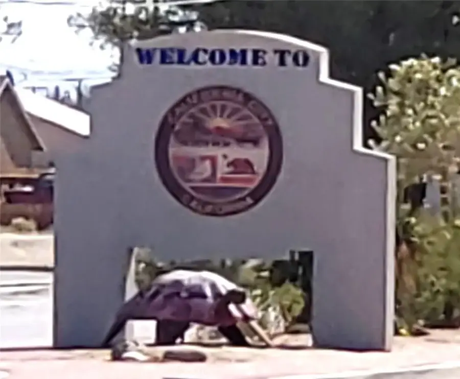 0 Nipa, California City, CA 93505 - #2