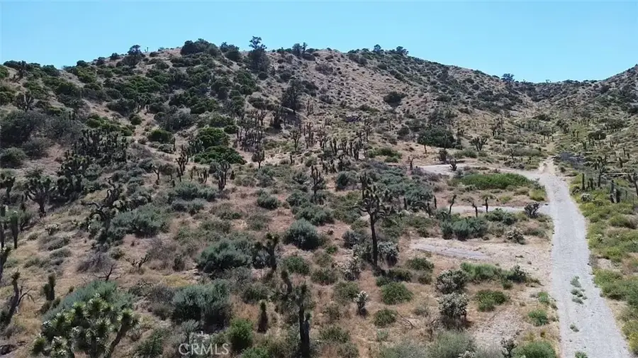 0 Mesquite, Pinon Hills, CA 92372 - #2