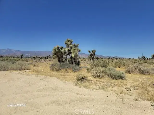 0 Daisy, Phelan, CA 92371 - #1