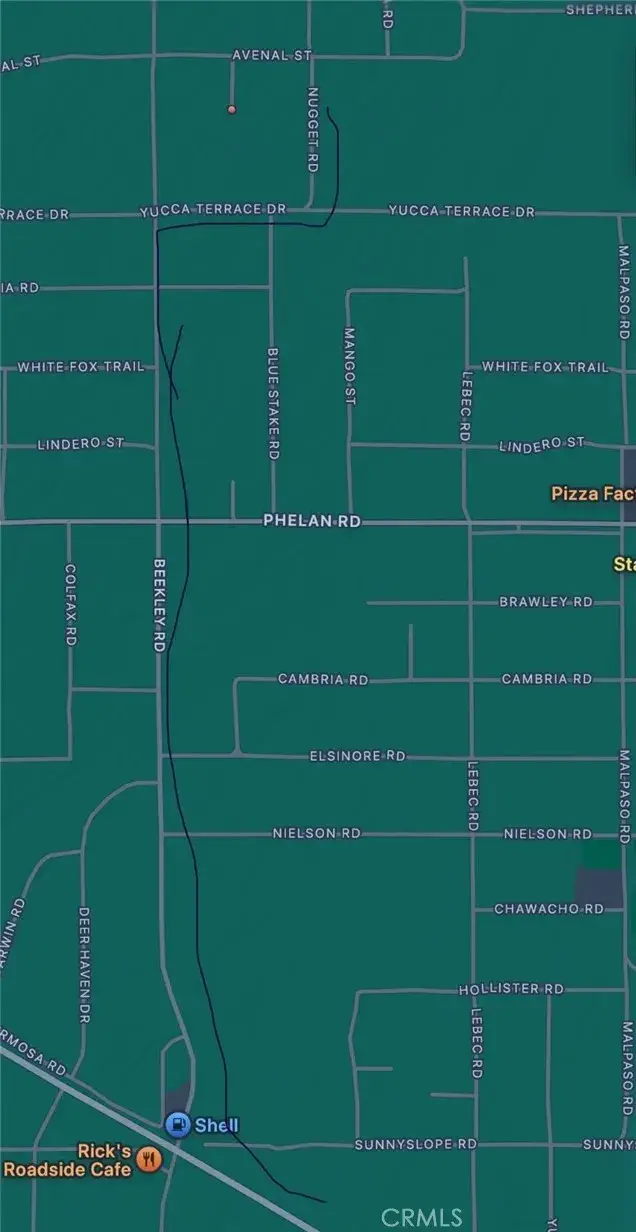 10120 Mescalero, Phelan, CA 92371 - #3