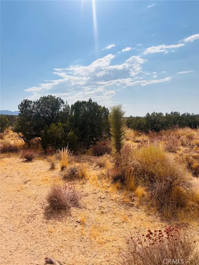 0 Vac/vic, Llano, CA 93544 - #1