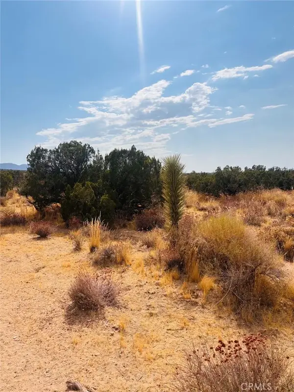 0 Vac/vic, Llano, CA 93544