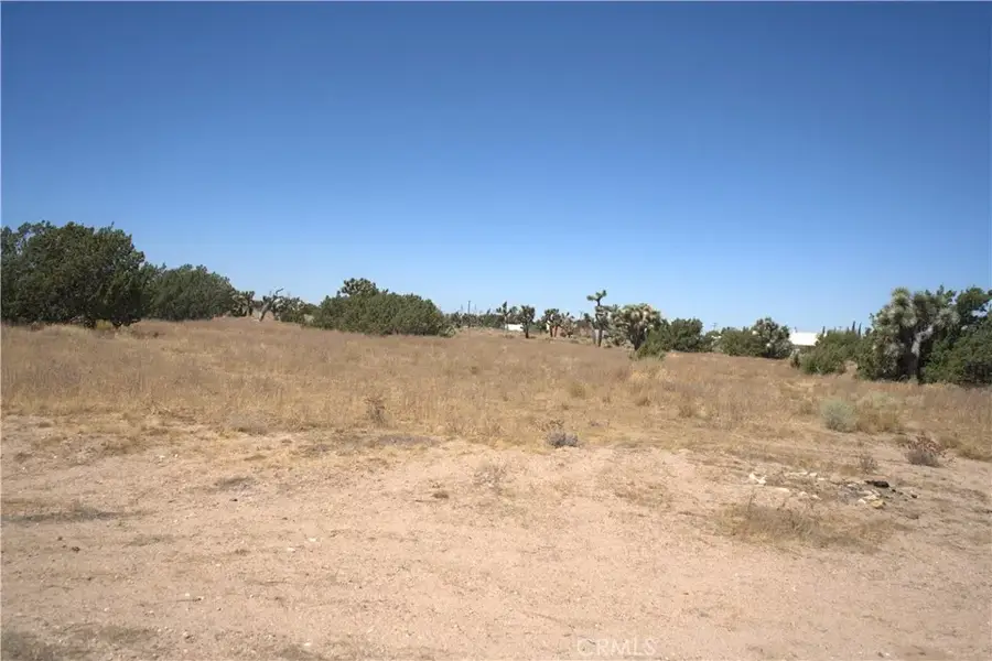 0 Fremontia, Oak Hills, CA 92344 - #2