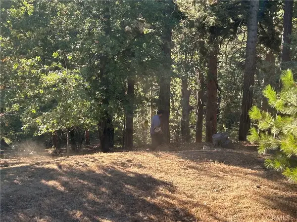 2335 Deep Creek, Running Springs, CA 92382