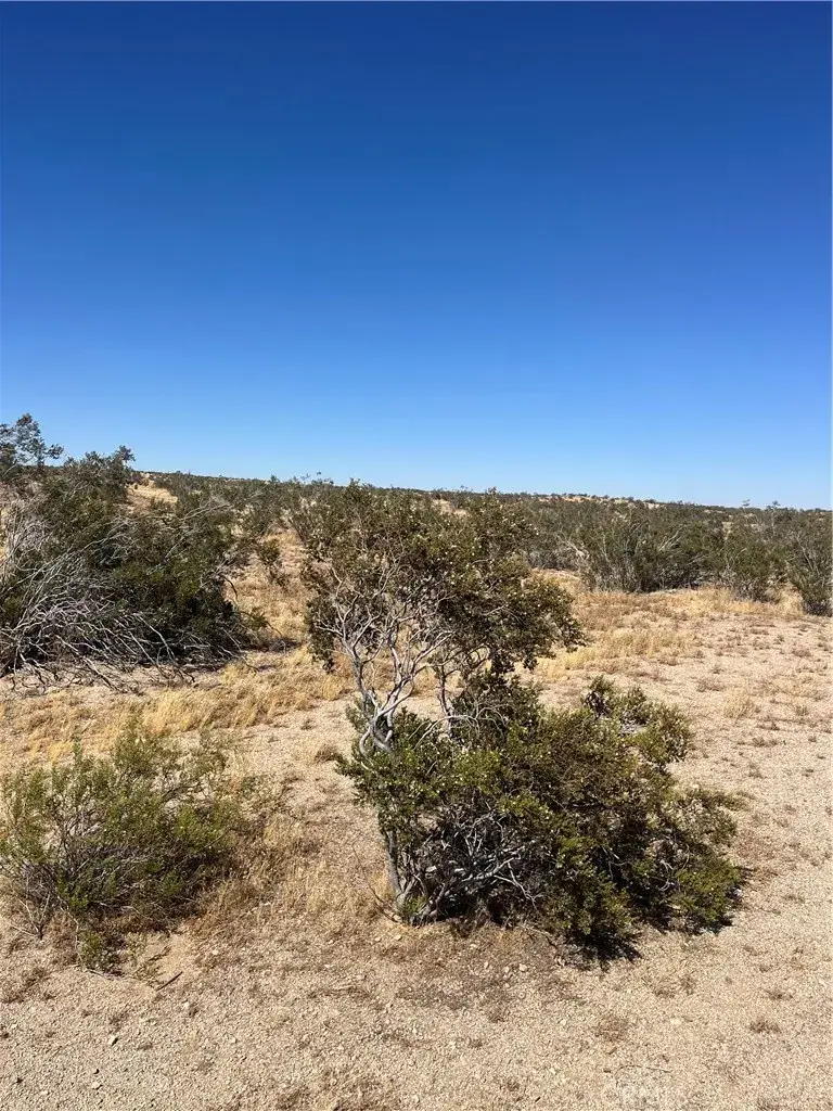 188 E Avenue G, Lancaster, CA 93535 - #2