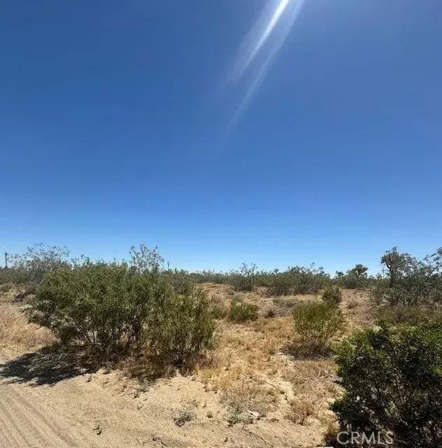 0 Duncan, Phelan, CA 92371 - #2