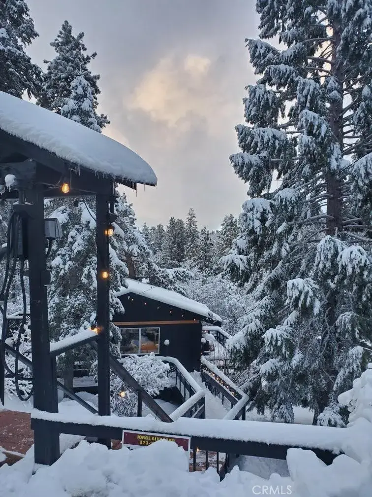 43428 Primrose, Big Bear Lake, CA 92315 - #2