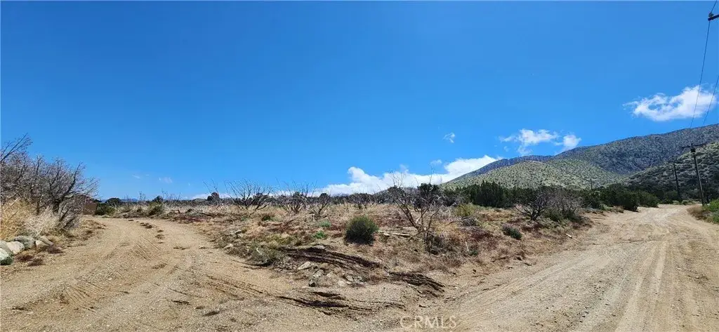 29500 106th, Juniper Hills, CA 93543 - #1