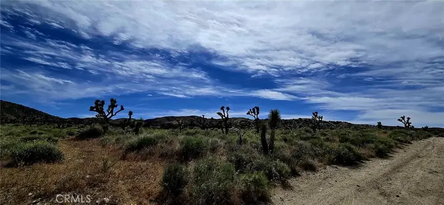 8900 Bainard Canyon, Palmdale, CA 93550 - #2