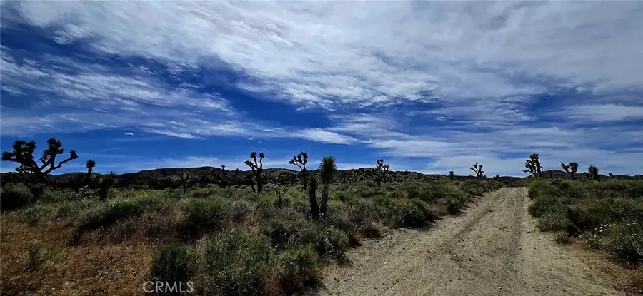 8900 Bainard Canyon, Palmdale, CA 93550 - #3