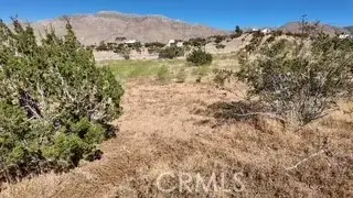 7676 Juniper, Apple Valley, CA 92308 - #3