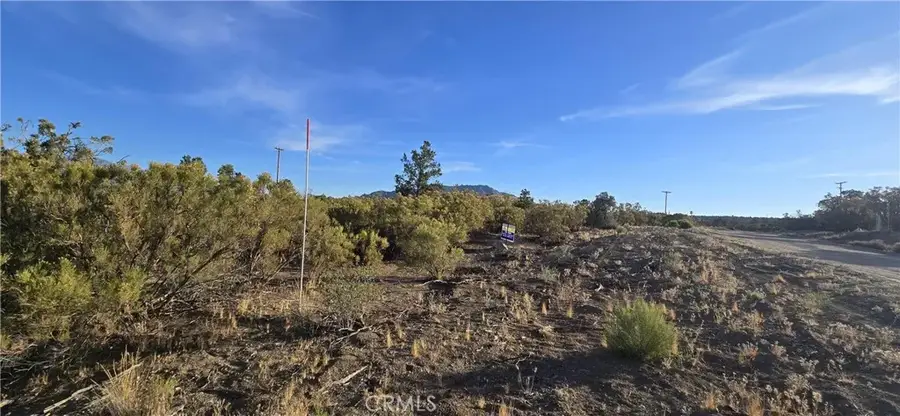64001 Palm Canyon, Mountain Center, CA 92561 - #2