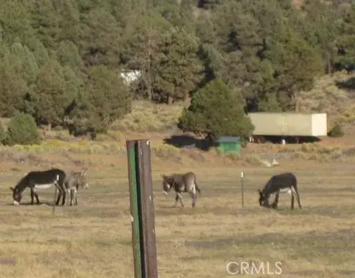 2151 Erwin Ranch, Big Bear City, CA 92314 - #3