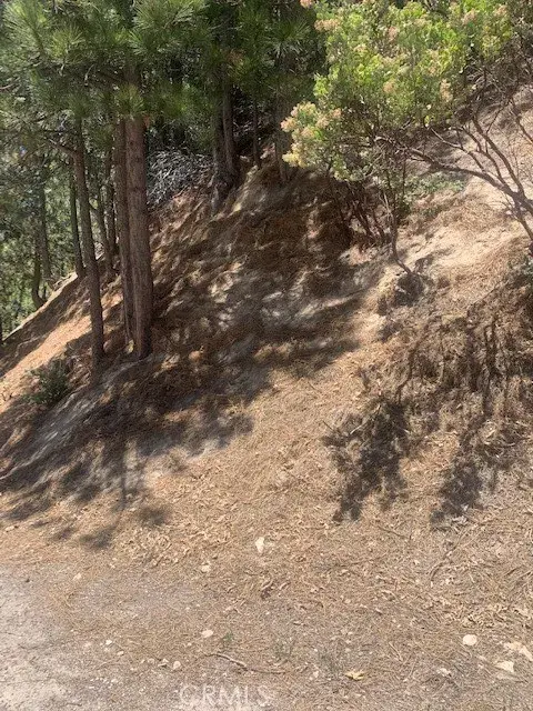 27346 N Bay Rd, Lake Arrowhead, CA 92352 - Image #2