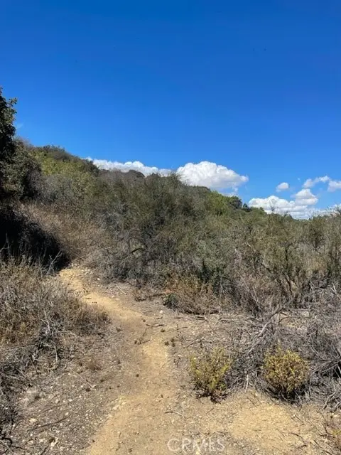 0 Subdivision 1033, Lot 19, Los Angeles, CA 90077 - Image #2