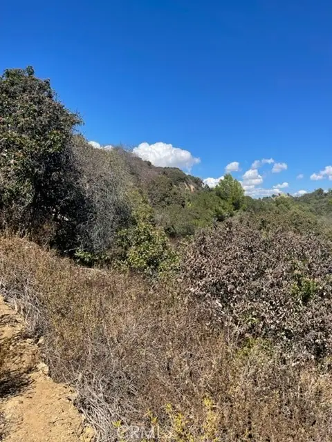 0 Subdivision 1033, Lot 19, Los Angeles, CA 90077 - Image #3