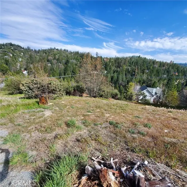 26870 Inyo, Lake Arrowhead, CA 92352 - #2